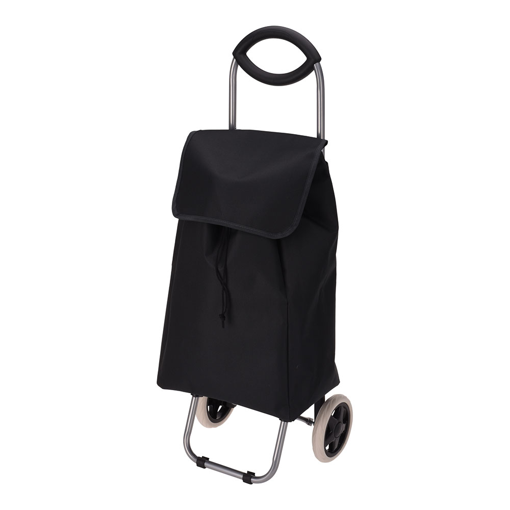 CARRO DE LA COMPRA CON DOS RUEDAS 30 l